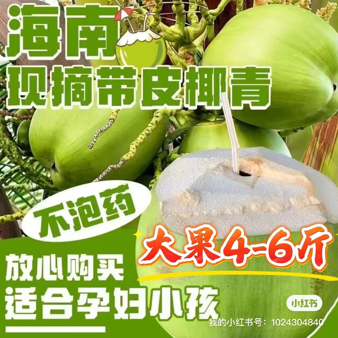 海南椰子新鲜椰青带皮现摘当季椰椰青