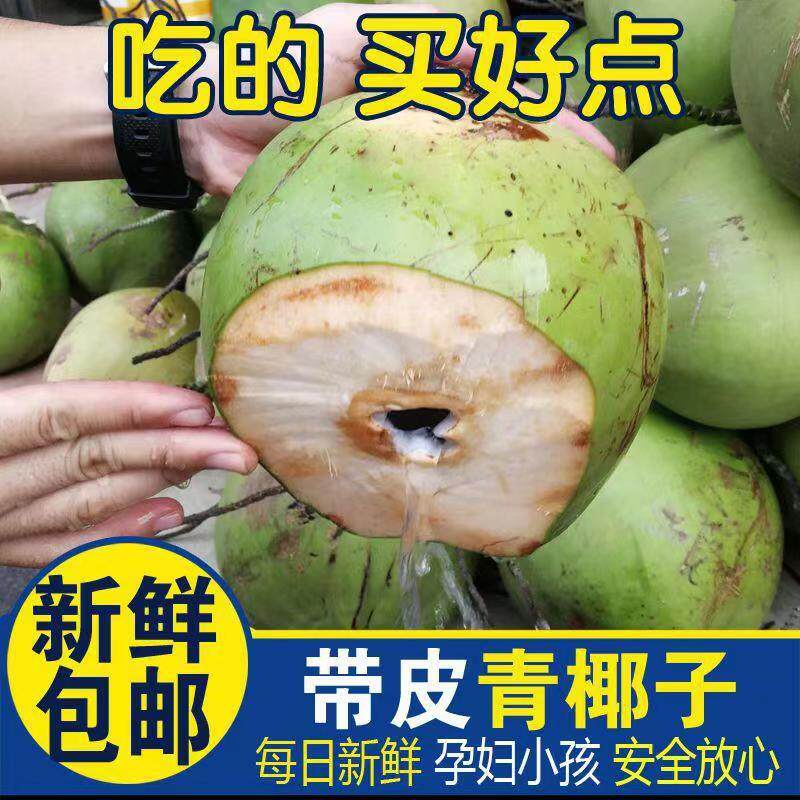 海南椰青新鲜椰子6个装包邮
