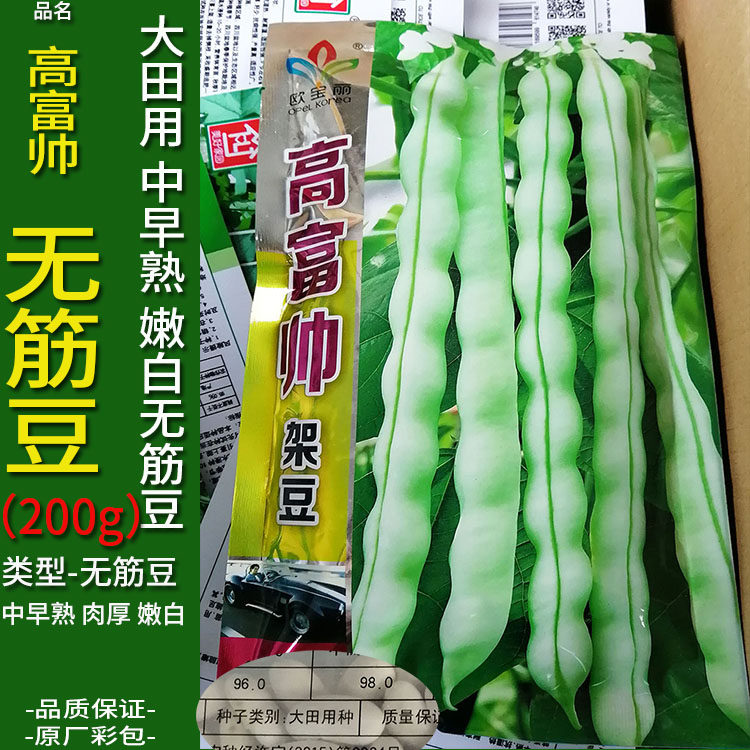 高富帅架豆无筋豆200g四季架种子