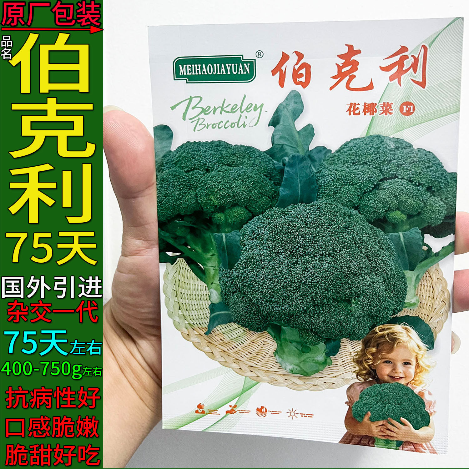 伯克利75天青西兰花蔬菜种子高产