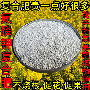 花肥料复合肥蔬菜农用种菜通用型化肥果树盆栽氮磷钾三元 复合肥氮