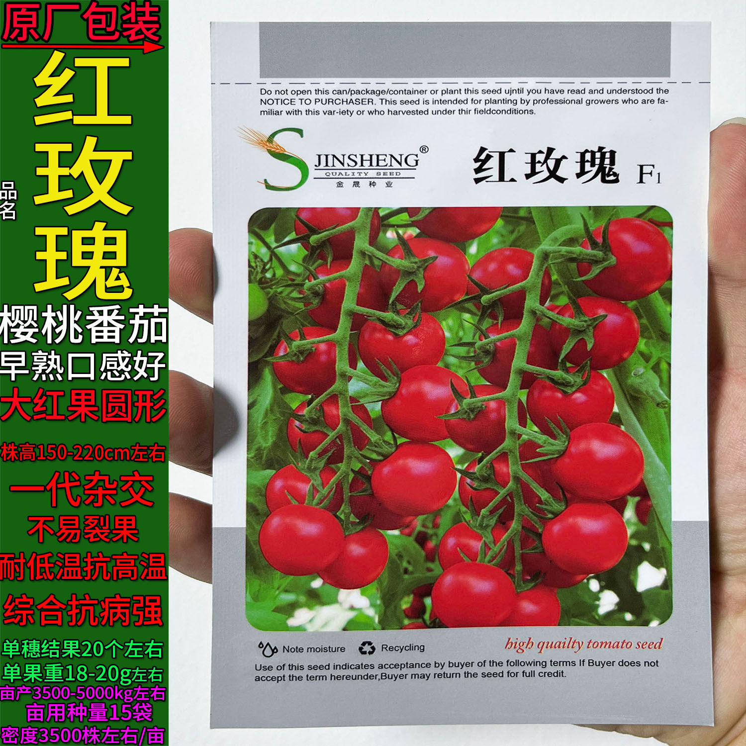 红玫瑰红圣圆形圣女果水果樱桃小番茄蔬菜种子孑籽春夏秋西红柿洋