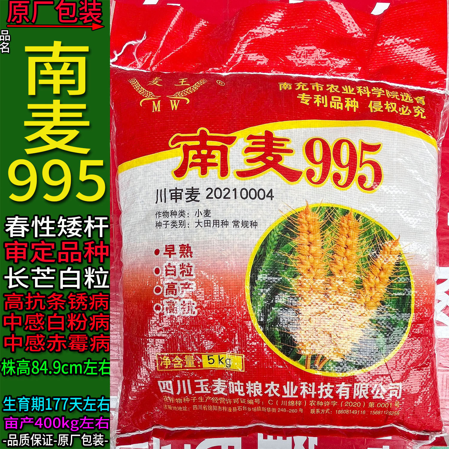 南麦995【5kg】原袋装小麦子种子白色颗粒面粉面条大田用种绵阳