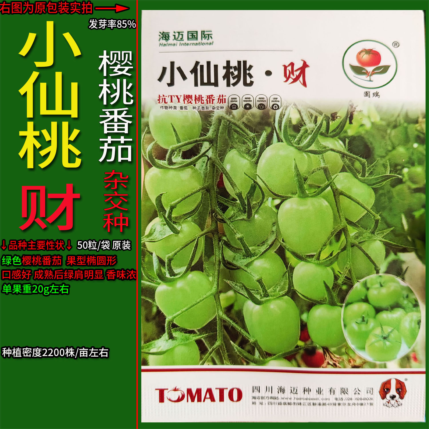 绿色圣女果水果樱桃番茄蔬菜种子