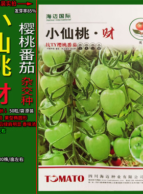 小仙桃财绿色圣女果水果樱桃小番茄西红柿种子孑籽洋辣椒春夏秋季