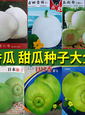 香瓜甜哈密白兰华莱士瓜水果种子