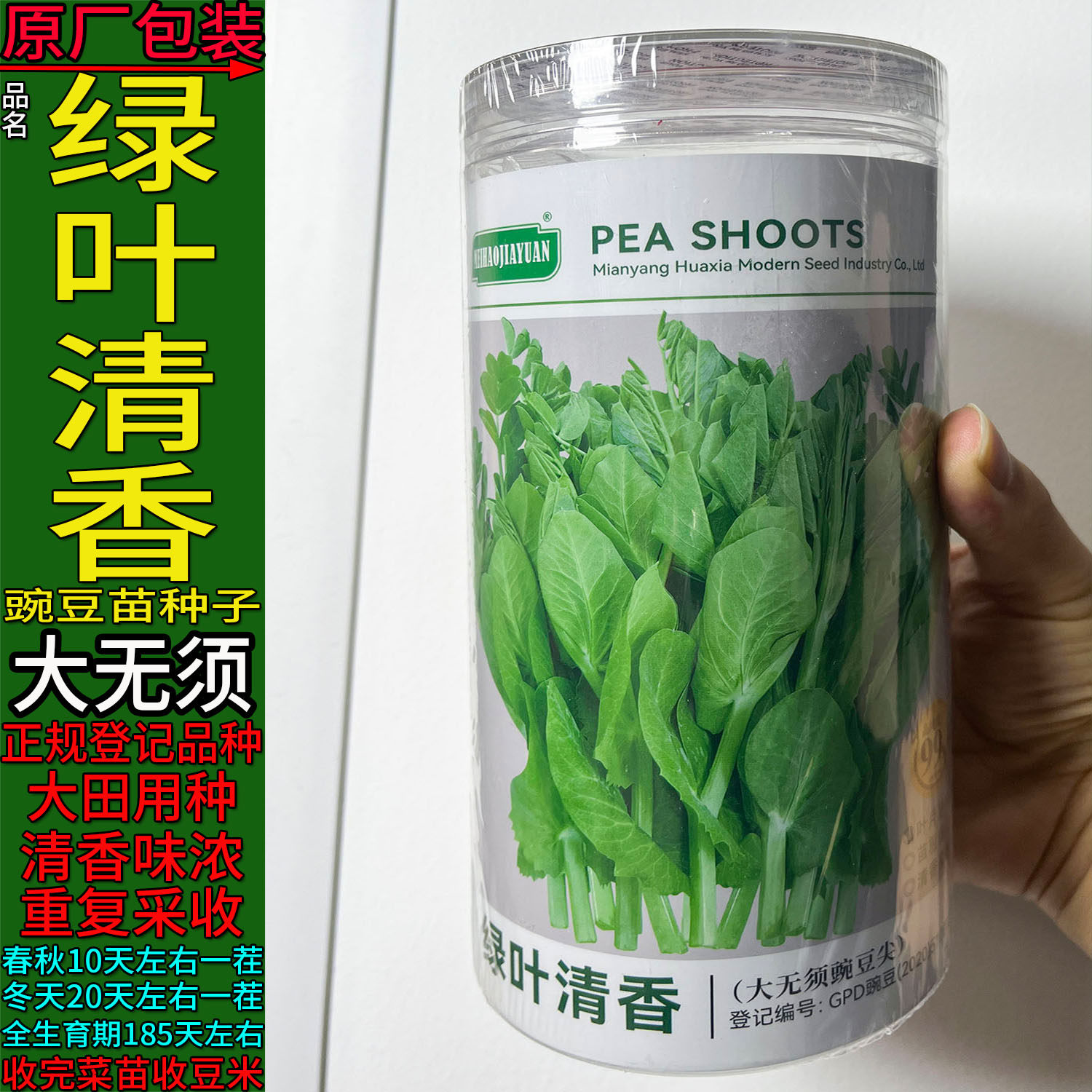 绿叶清香500g四川大胖无须豌豆尖苗龙蔬菜种子孑籽秋冬青豆豌豆米