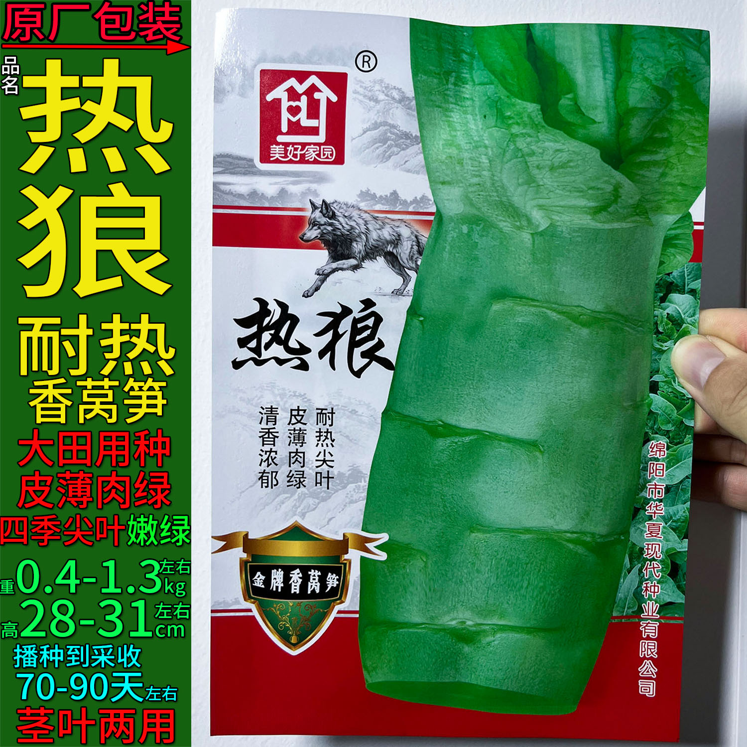 四季耐热香莴笋热狼绿色蔬菜种子