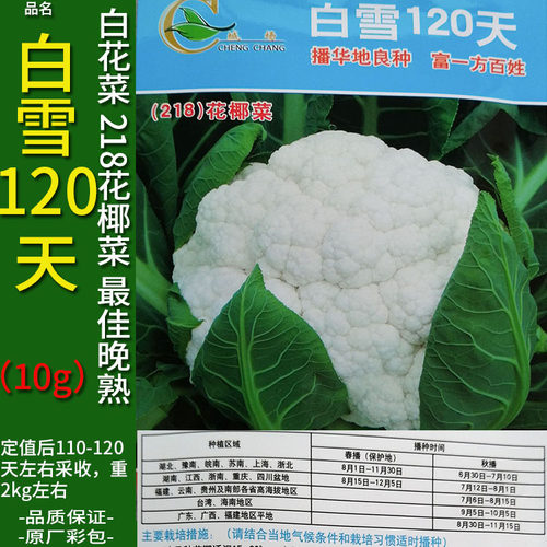 白花菜种子销量排行榜 白花菜种子品牌热度排名 小麦优选