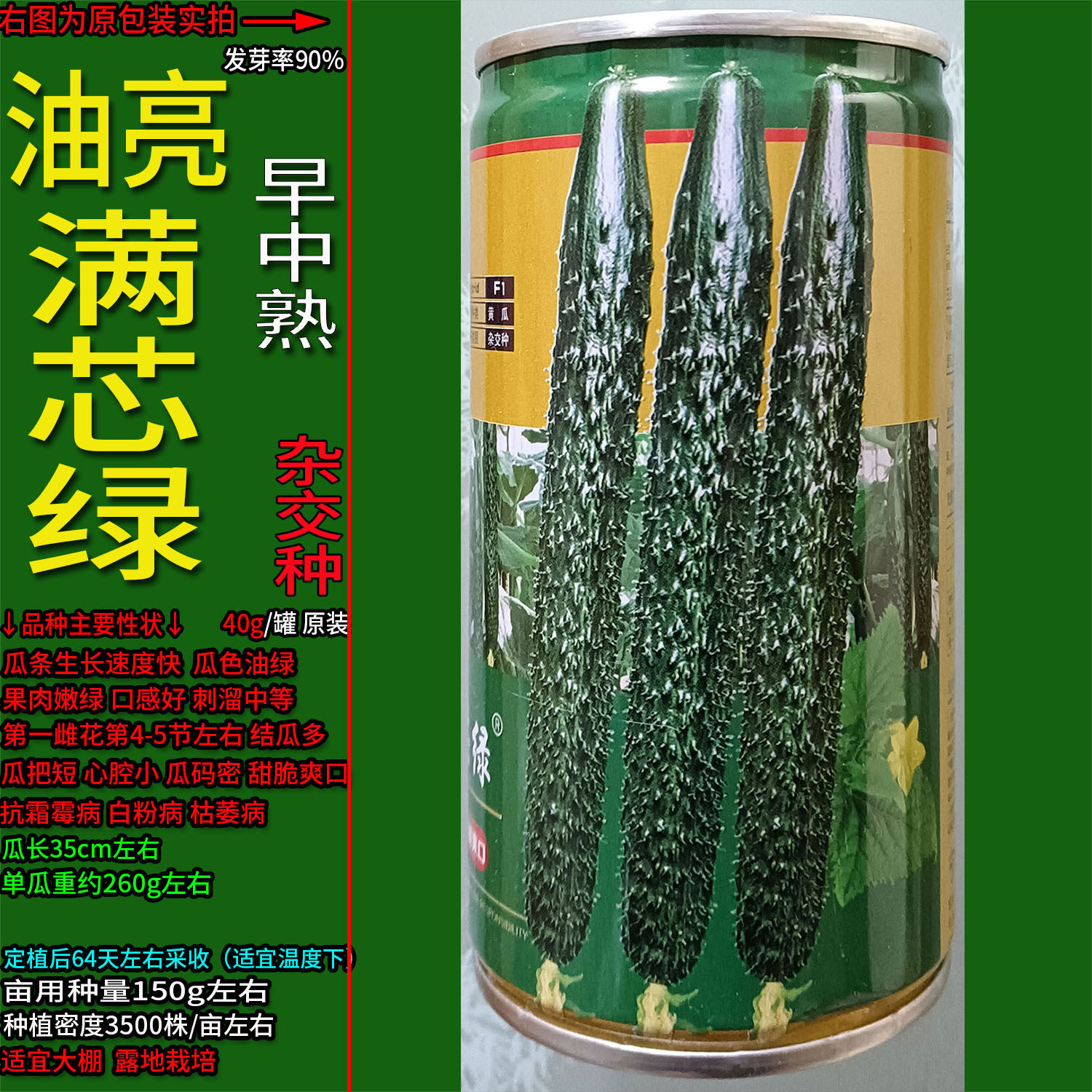 油亮满芯绿青黄瓜蔬菜种子孑籽杂交高产胡瓜刺王勤青唐吊瓜天春夏