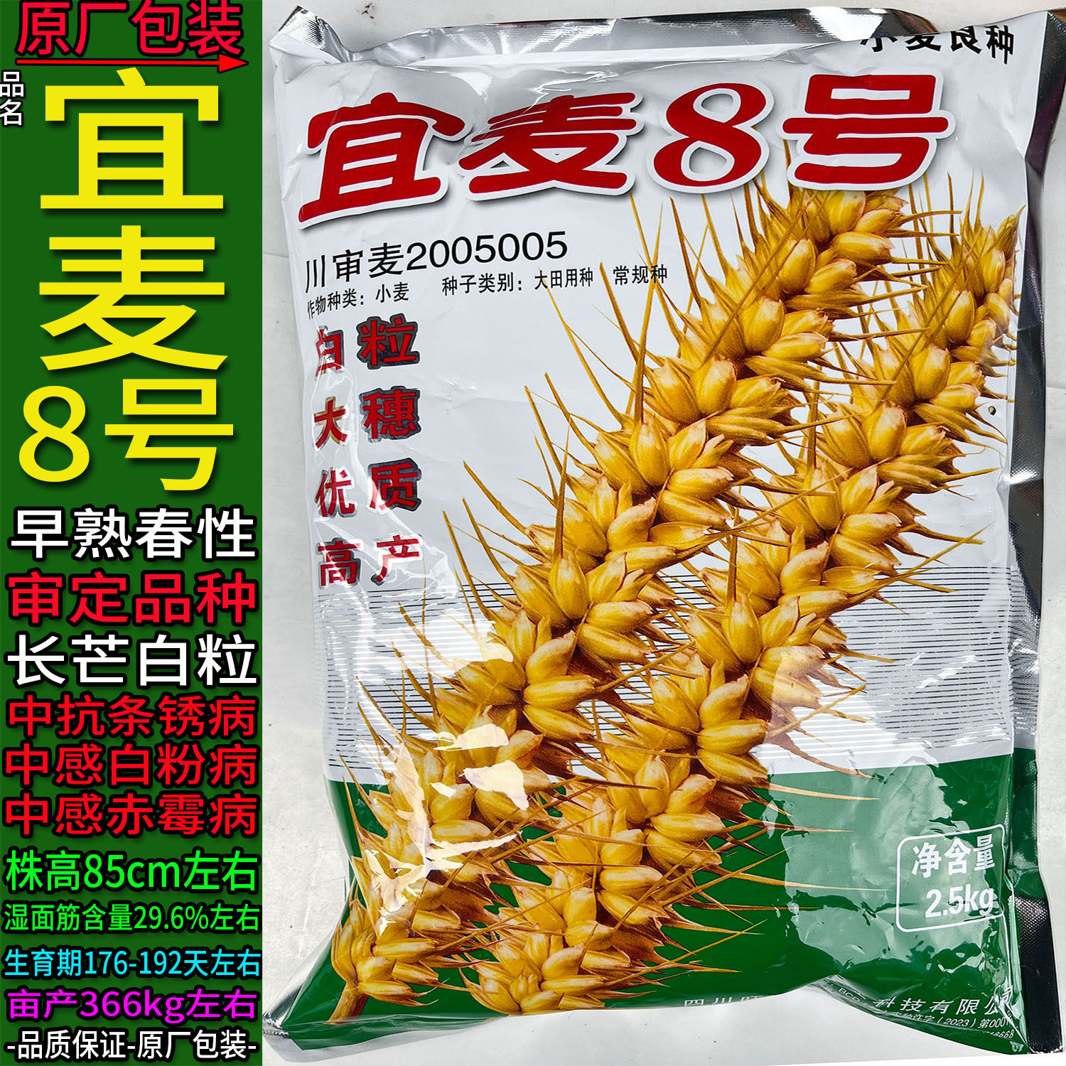 宜麦8号【2.5kg】原袋装小麦子种子白色颗粒面粉面条大田用种绵