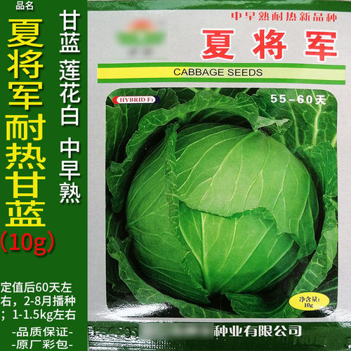 将军10g耐热甘蓝莲花白种子仔苗