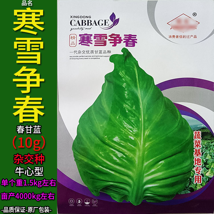 寒雪争春10g牛心白甘蓝莲花白种子孑籽卷心包菜椰洋圆芥蓝白高丽
