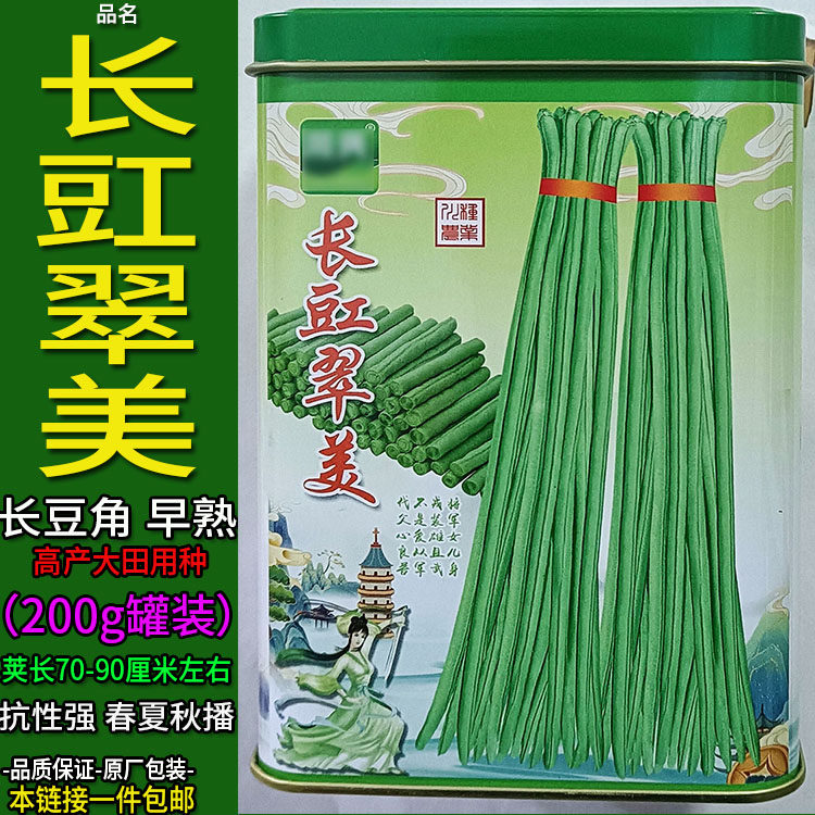 长豇翠美高产大田长豆角种子孑籽