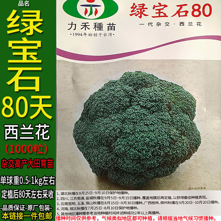 绿宝石80天1000粒高产西兰花青绿种子孑籽苗洋甘蓝花椰宝塔菜大田