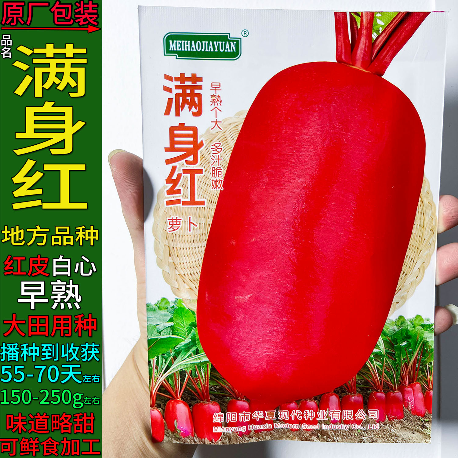 满身红白皮肉白萝卜四季蔬菜种子孑籽别名莱菔水萝卜菜头庭院盆栽