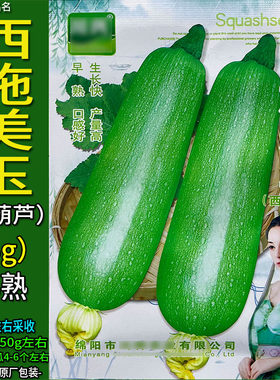西葫芦种子籽小嫩南瓜别名三月瓜