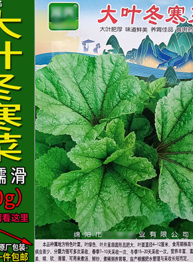 大叶冬寒菜10g葵菜冬寒（苋）菜种子孑籽薪菜皱叶锦葵蔬菜庭院盆