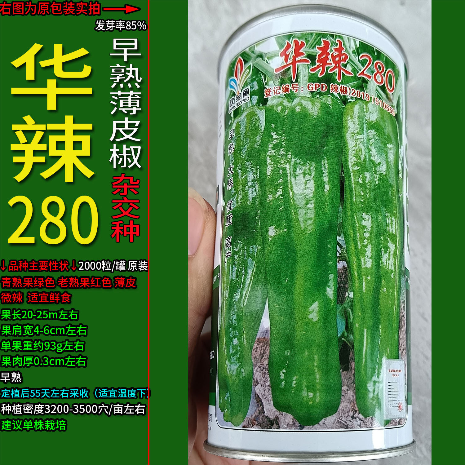 早熟薄皮椒辣椒蔬菜种子青辣椒