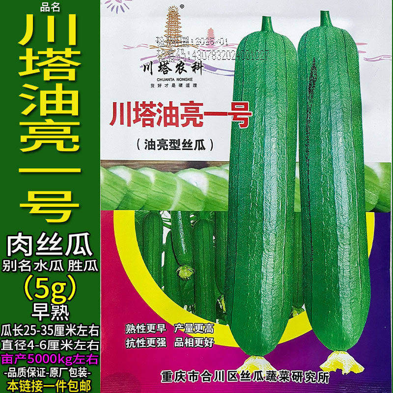 川塔油亮一号5g杂交高产大肉香丝瓜蔬菜种子孑籽薄皮胜菜水瓜蔬菜