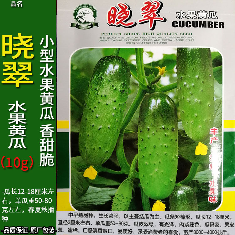 晓翠10g水果黄瓜种子孑籽香