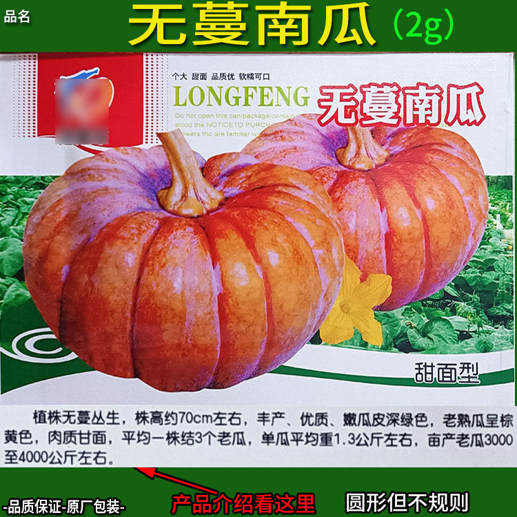 无蔓南瓜2g 南瓜倭瓜番瓜饭瓜种子孑籽番北瓜阳台庭院盆栽春季播