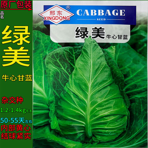 绿美牛心甘蓝莲花白蔬菜种子杂交