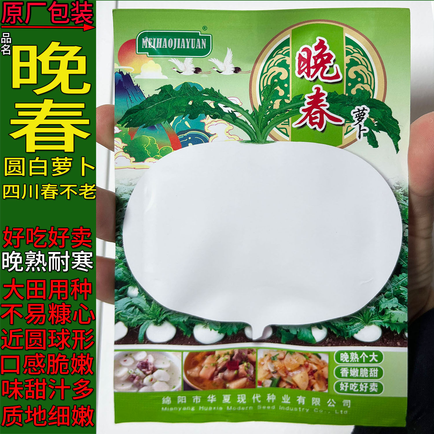 晚春20g春不老扁圆白萝卜甜嫩种子孑籽秋冬蔬菜别名莱菔白皮白心