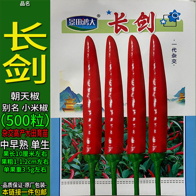 长剑500粒红色色小米椒朝天椒种子孑籽辣椒蔬菜春夏秋播特辣超辣
