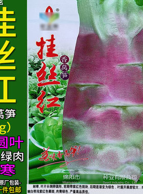 挂丝红5g耐寒莴笋种子孑籽大圆