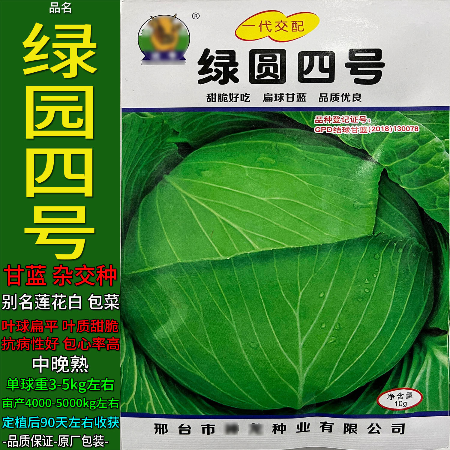 绿园四号10g甘蓝莲花白蔬菜种子籽仔苗春夏秋卷心洋白高丽包菜菜