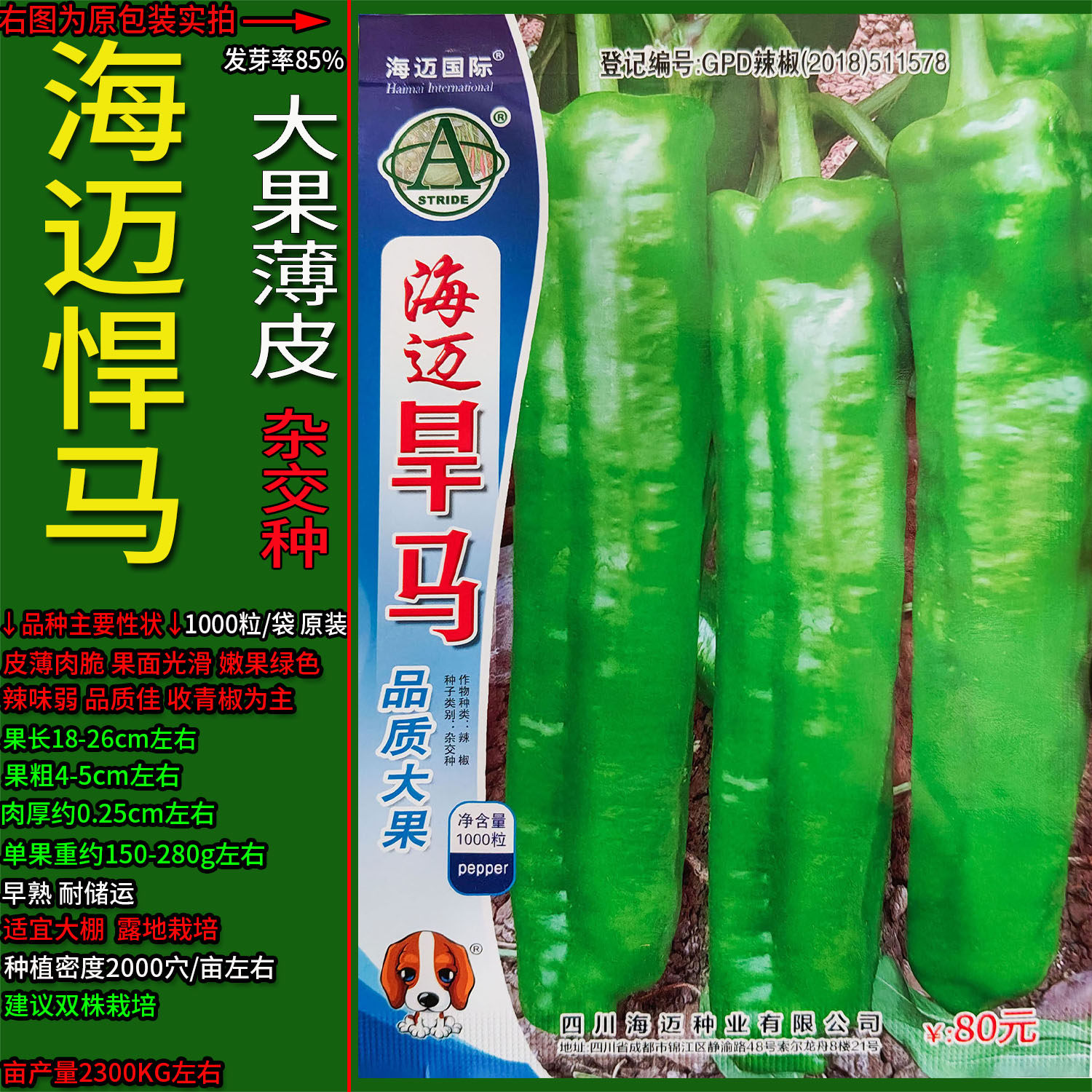 海迈悍马薄皮椒辣椒蔬菜种子高产