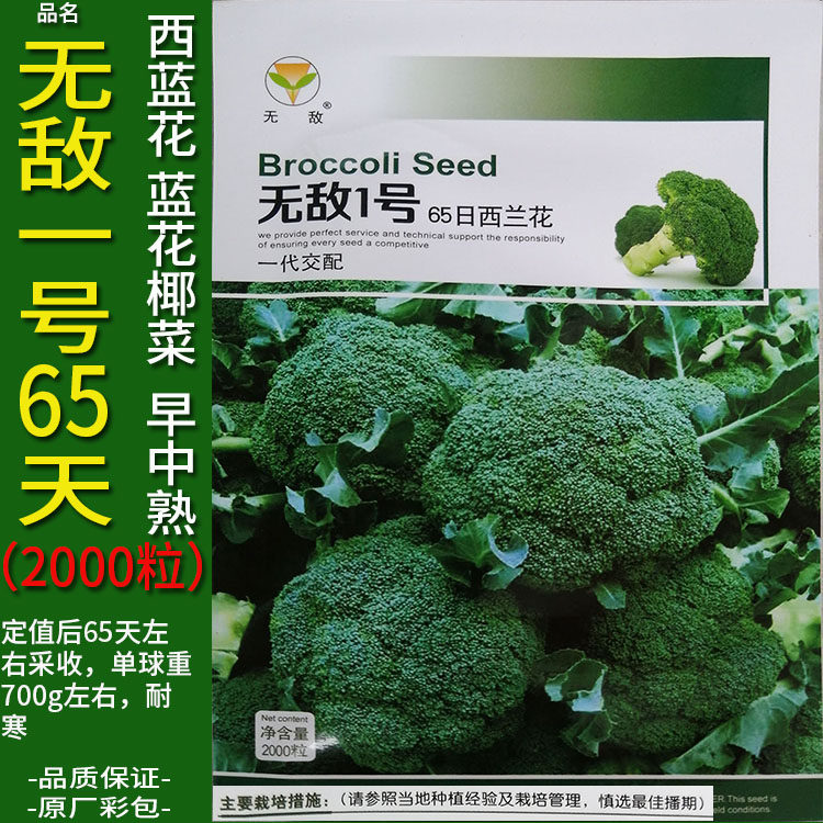 无敌1号65天2000粒高产西兰花青种子孑籽苗洋甘蓝花椰宝塔菜大田