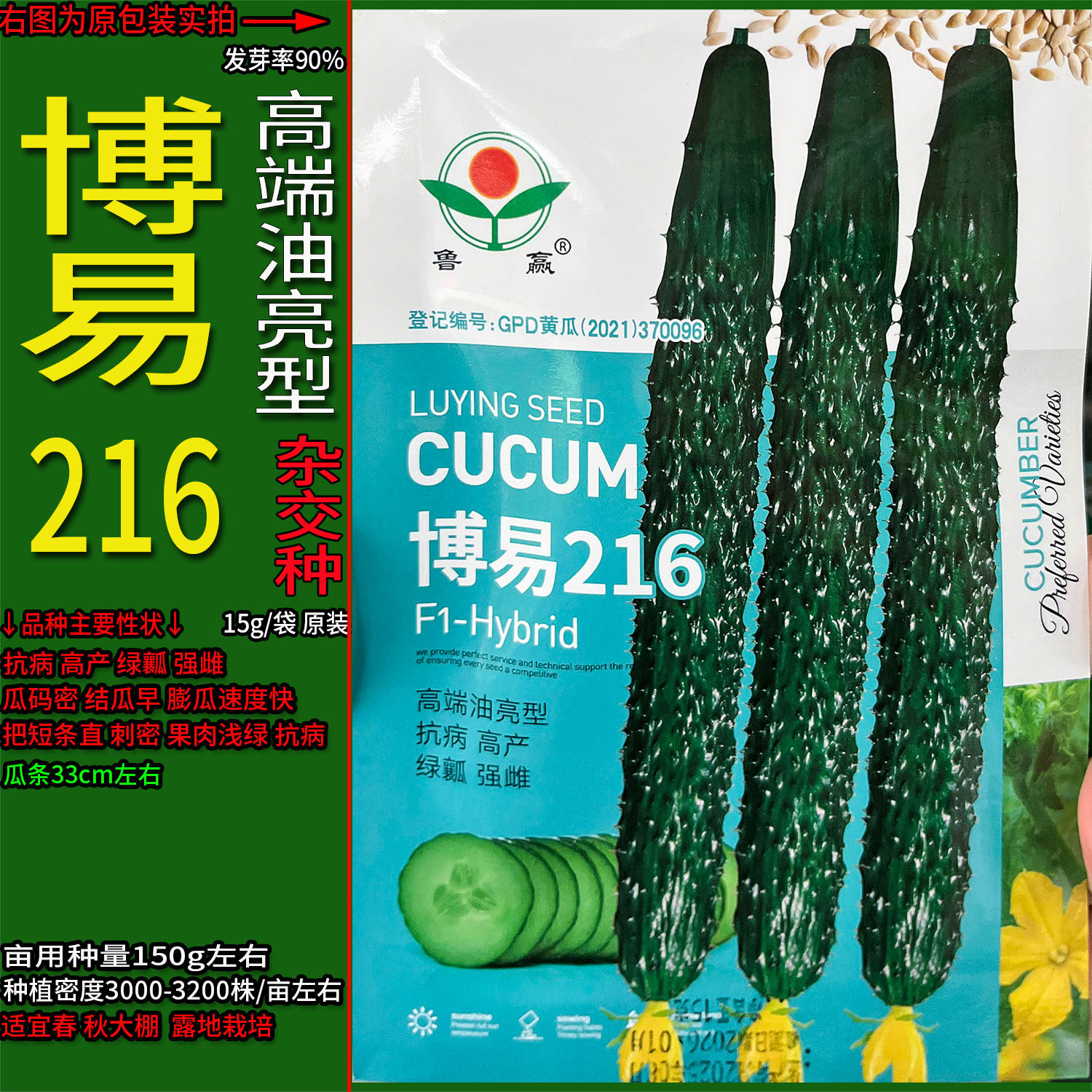 博易216青黄瓜蔬菜种子孑籽杂交高产胡瓜刺王勤青唐吊瓜天春夏