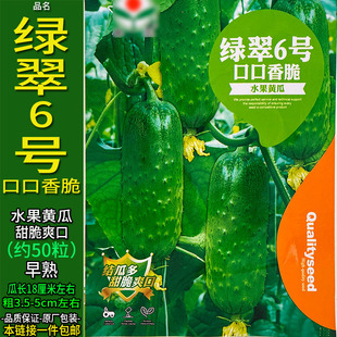 绿翠6号口口香脆水果黄瓜种子孑籽高产香甜脆胡刺王勤青唐吊瓜大