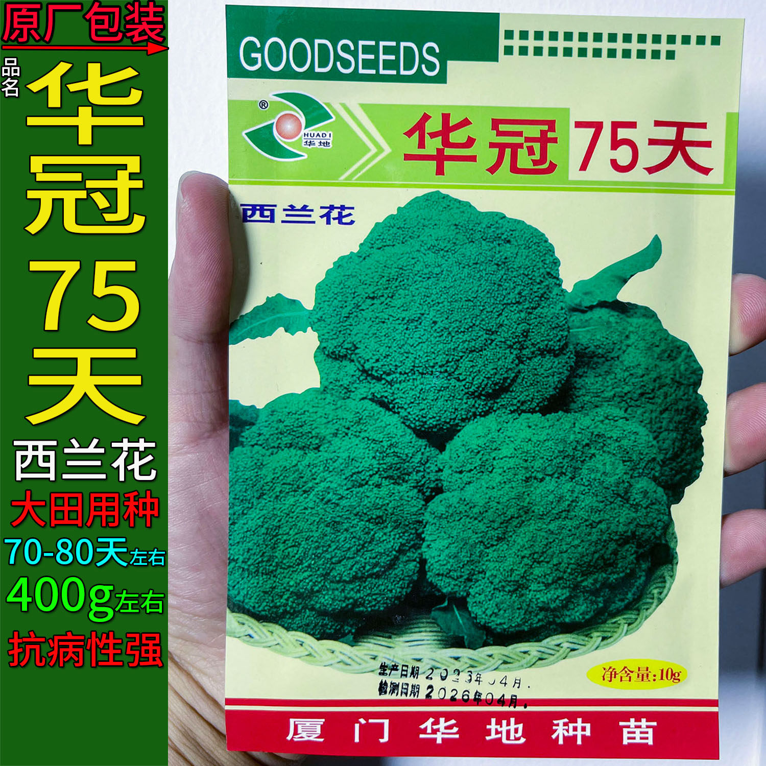 华冠75天10g西兰花青绿花菜种子
