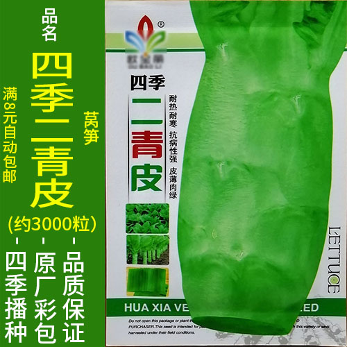 四季二青皮5g青笋红香莴笋千金菜莴...