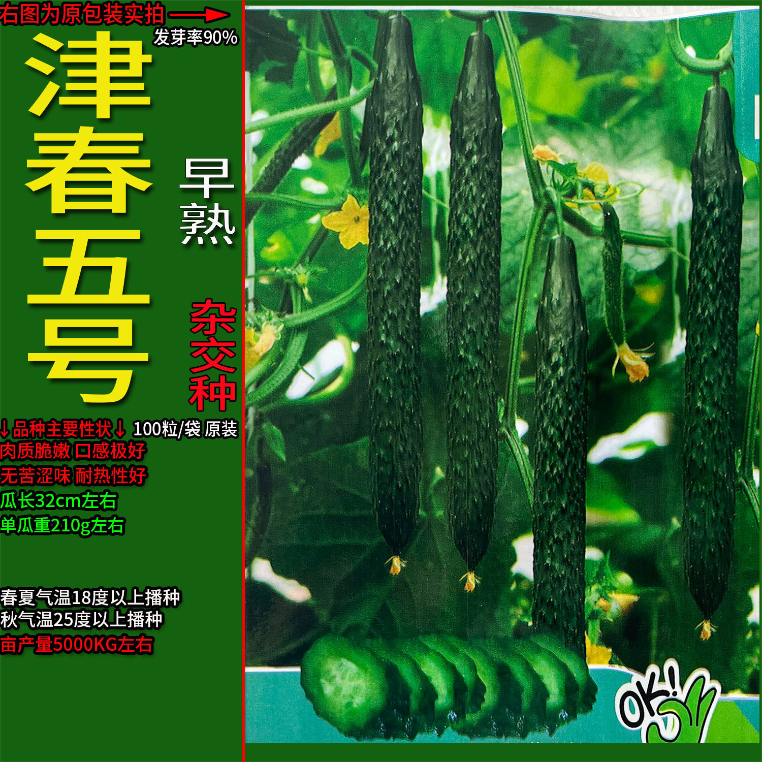 津春五号青黄瓜种子孑籽杂交高产胡瓜刺王勤青唐吊瓜蔬菜露天春夏