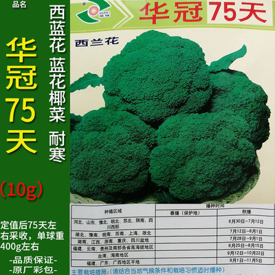 华冠75天10g西兰花青绿白花菜种子孑籽苗洋甘蓝花椰菜宝塔菜大田 真艺园艺 淘优券