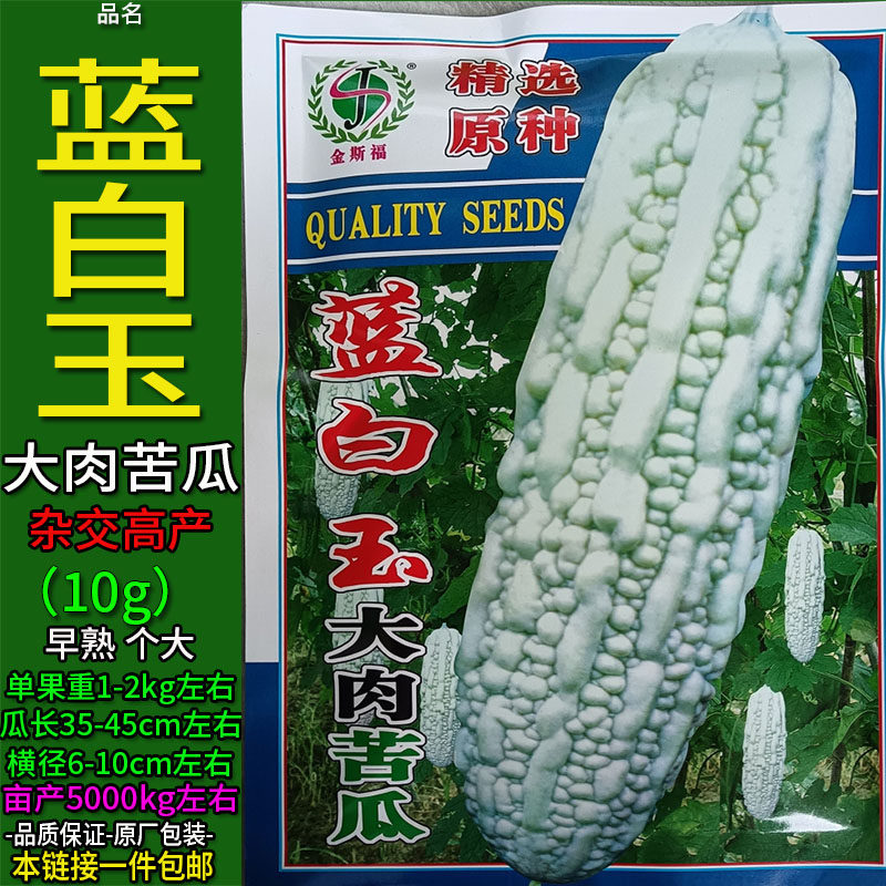 蓝白玉大肉苦瓜15G长白苦瓜种子孑籽高产杂交别名癞葡萄凉瓜锦荔