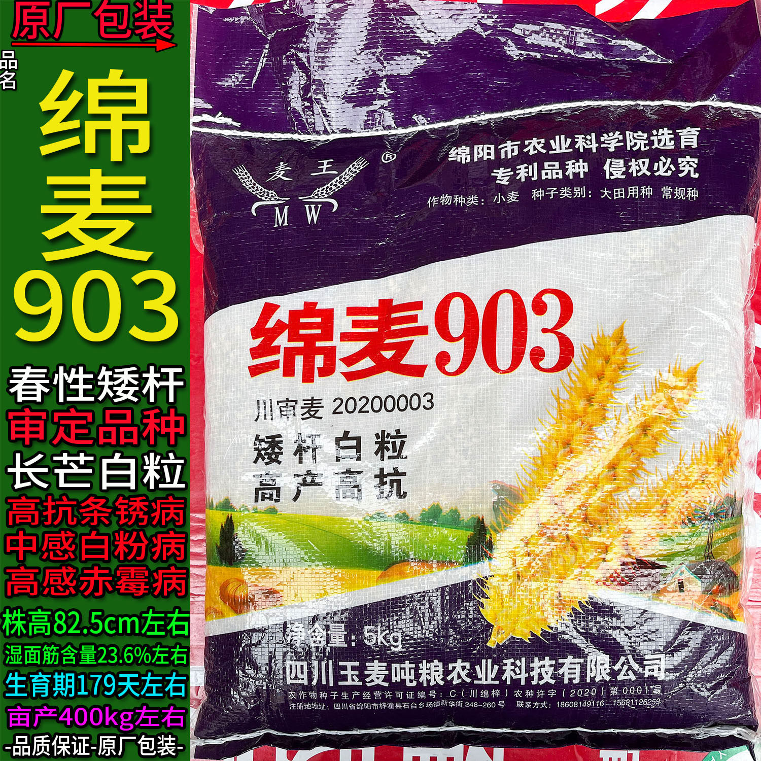 绵麦903【5kg】原袋装小麦子种子白色颗粒面粉面条大田用种绵阳