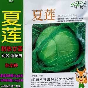 夏莲10g耐热甘蓝莲花白蔬菜种子