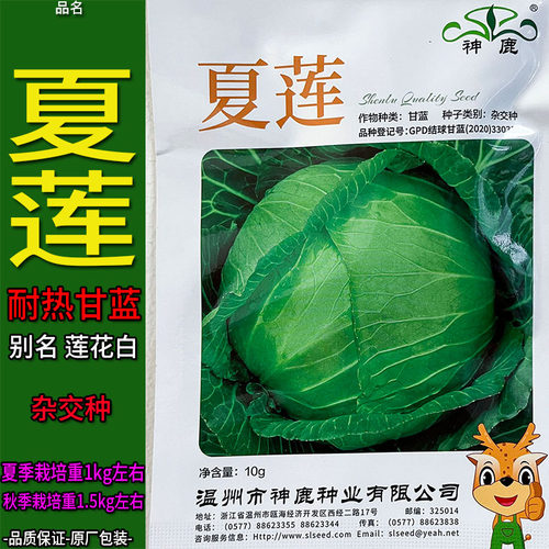 夏莲10g耐热甘蓝莲花白蔬菜种子