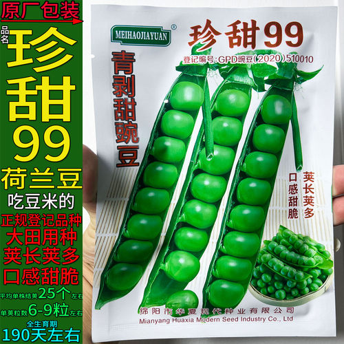 珍甜99青剥甜豌豆米蔬菜种子高产