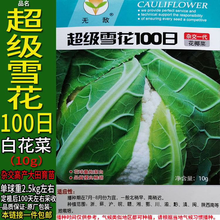 超级雪花100日10g紧白花菜蔬菜种子孑籽杂交高产别名椰花甘蓝大田