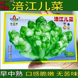 临江涪江儿菜儿子超生背儿抱儿娃娃菜母子芥菜榨菜泡菜酸菜种子籽