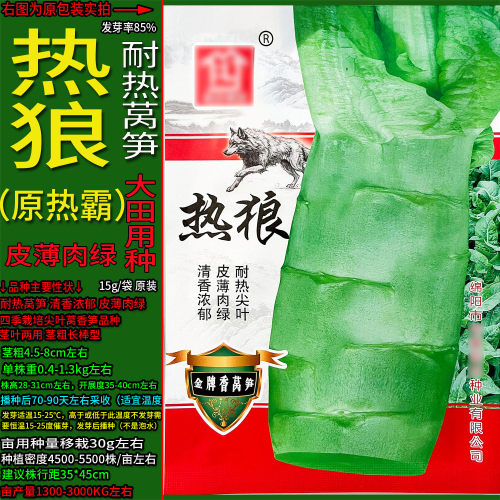 热狼原热霸耐热香莴笋蔬菜种子