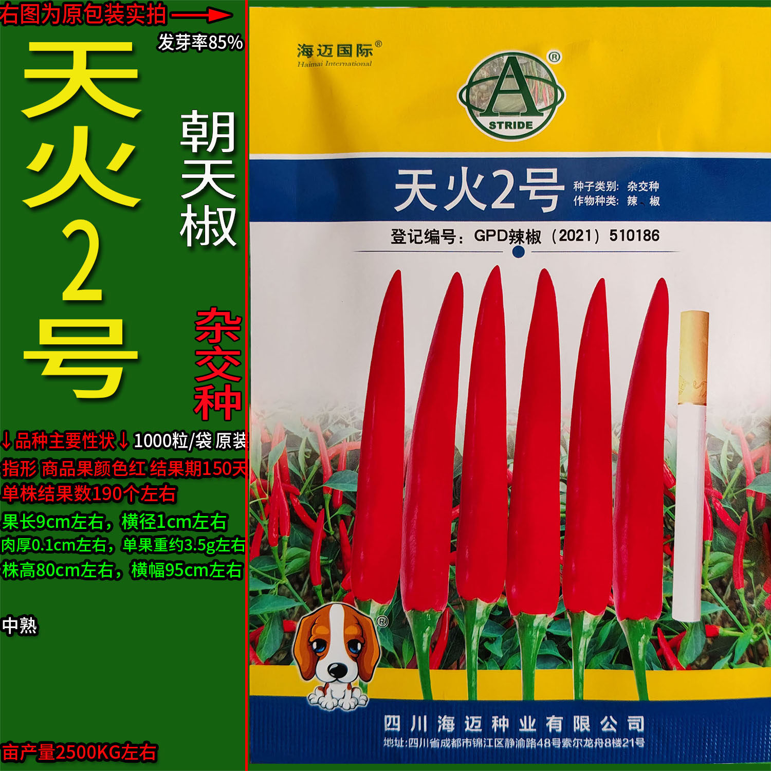 天火2号小米椒辣椒蔬菜种子孑籽杂交高产朝天椒特超辣春夏秋青红