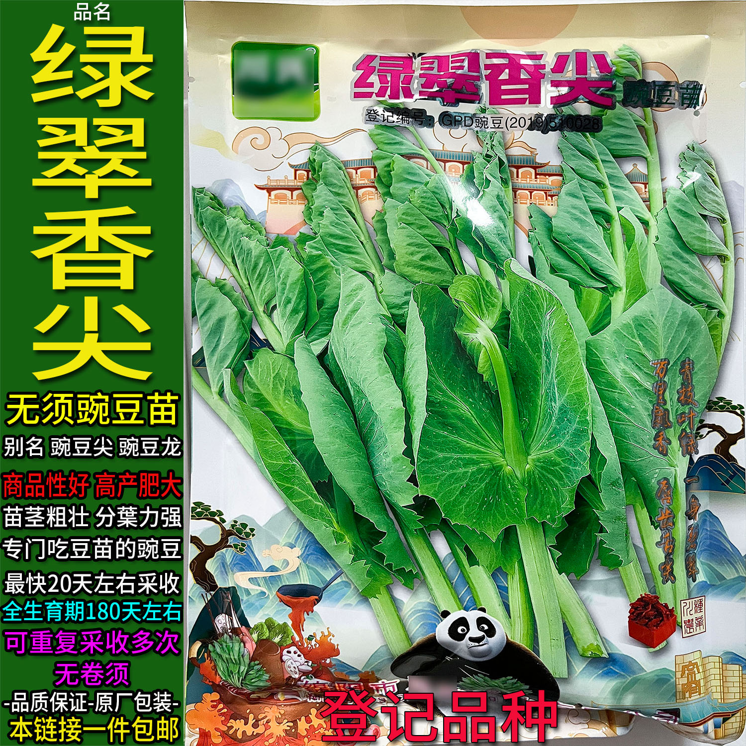 绿翠香尖四川无须豌豆尖蔬菜种子