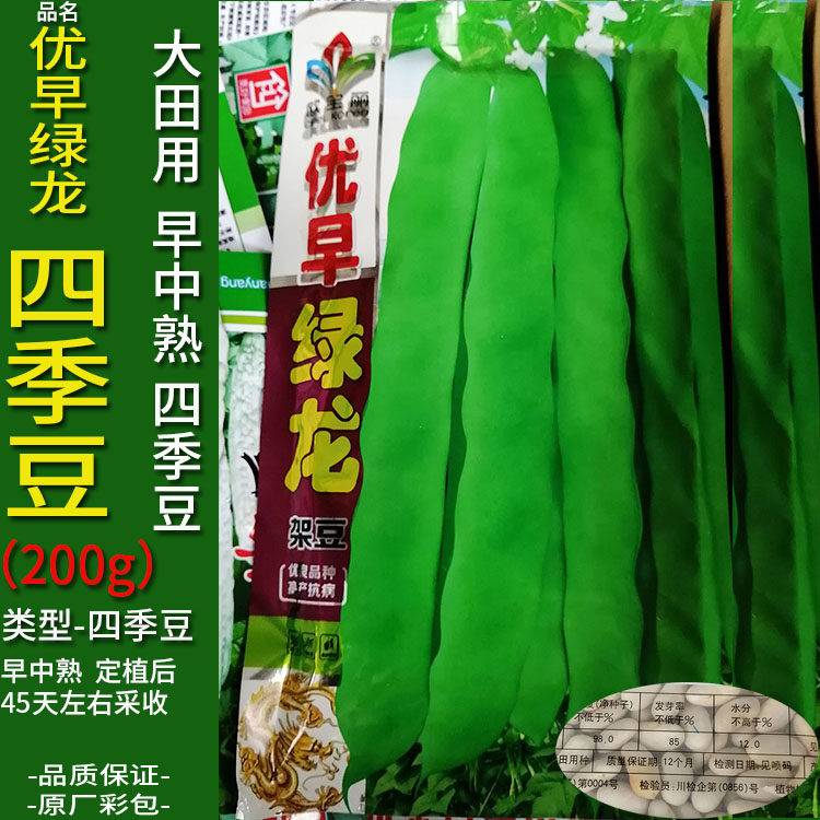优早绿龙四季豆200g架豆种子